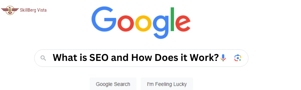 what is seo by Skillberg Vista