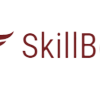 cropped-skillberg.png